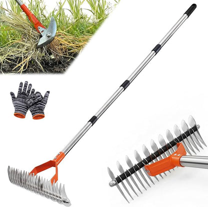 Thatch Rake,14-Inch Lawn Thatching Rake,Reinforced Neck with Heavy Duty Handle, Multi Angle Tine Design for Efficient Dead Grass Removal and Soil Care