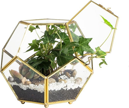 NCYP 6.89 x 6.89 x 5.9 inches Glass Geometric Terrarium Planter with Door and Foot, Pentagon Ball Shape Close Flower Pot for Fern Succulents Plants, Small, Gold (No Plants)