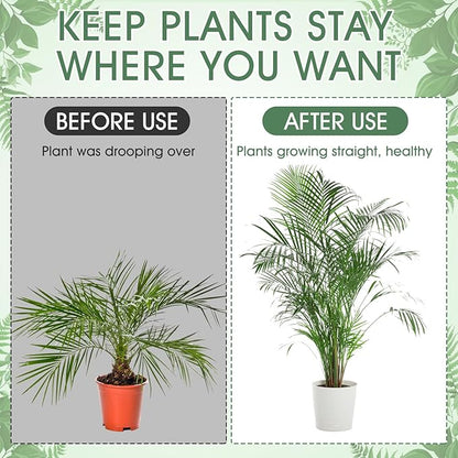 Honeydak 18 Pack Monstera Plant Support Plant Support Stakes for Indoor Plants Stackable Monstera Climbing Sticks with Orchid Clips Twist Ties for Potted Tomato Pothos Philodendron