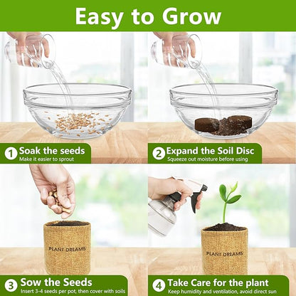 Bonsai Starter Kit with Seeds, Tools & Planters, Live Plants Indoor, Gardening Gifts for Women Men Mom Father Plant Lover