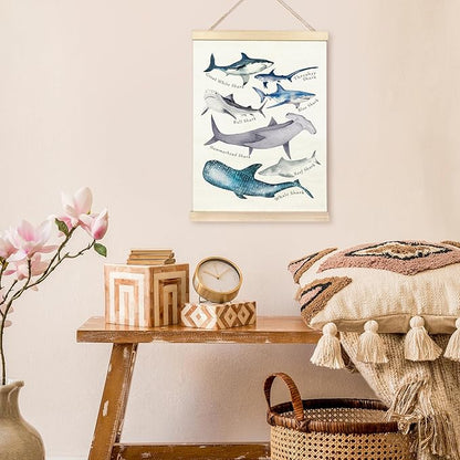 TAEDIN Watercolor Shark Ocean Animal Chart Poster Hanger Frame, Educational Shark Decor Wood Wooden Canvas Artwork Print, Sea Life Wall Painting for Home Bedroom Classroom Library Dorm Decor 12X16