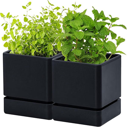 D'vine Dev 4 Inch Herb Planter Pot, Plastic Planter with Drainage Holes and Saucer, Modern Decorative Gardening Pot for Indoor Plants, Flowers, Herbs, Succulents, Black, Set of 2, 76-Y-B2-1