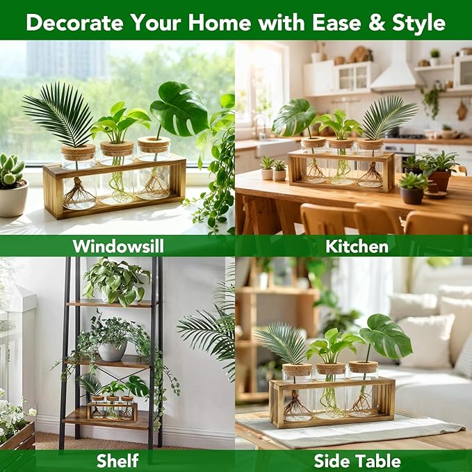 Propagation Stations, Plant Terrarium for Indoor Hydroponic Decor, Glass planters for Fresh Cuttings, Unique Birthday Gifts for Women & Mom, Home/Office Decor