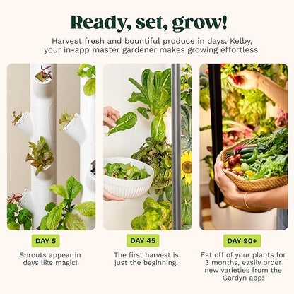 Gardyn Studio 1 Vertical Hydroponics Growing System Kit - 16 Non-GMO Plants, Herbs, Vegetables - Tower Garden - Hydroponic Herb Garden Planter Indoor Kit - Indoor Gardening System with LED Grow Lights