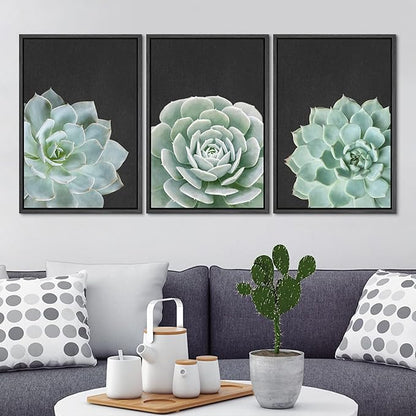 Ashbrook Framed Canvas Print Wall Art Set Green Desert Rose Cactus Succulents Nature Wilderness Photography Modern Art Minimal Chic Colorful for Living Room, Bedroom, Office - 24"x36"x3 Black