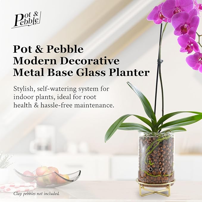 Pot & Pebble - C9 Glass Planter with Decorative Metal Base - Plant Propagation Station with Water Level Control - Plant Cutting Holder for LECA Clay Pebbles/Similar Media - Semi Hydroponic Planter