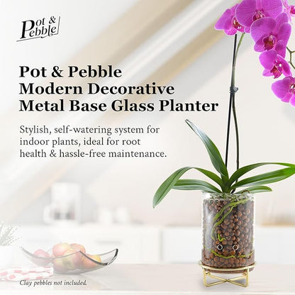 Pot & Pebble - C9 Glass Planter with Decorative Metal Base - Plant Propagation Station with Water Level Control - Plant Cutting Holder for LECA Clay Pebbles/Similar Media - Semi Hydroponic Planter
