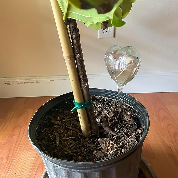 Heart Plant Water Globe, 4 Pcs Set Iridescent Glass Self Watering Bulbs, Heart Shaped Waterer Dripper for Indoor Plants, Outdoor Flowers, Planter Insert Garden Device for Pots