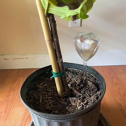 Heart Plant Water Globe, 4 Pcs Set Iridescent Glass Self Watering Bulbs, Heart Shaped Waterer Dripper for Indoor Plants, Outdoor Flowers, Planter Insert Garden Device for Pots