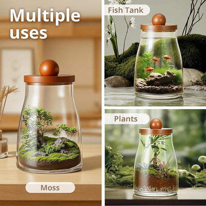 Desktop Glass Plant Terrarium with Grow Light, Plants Propagation Station for Moss,Succulent,Miniature Gardening Landscape,Betta Fish Tank,Desktop Decorations for Home and Office, Plant Lovers Gift