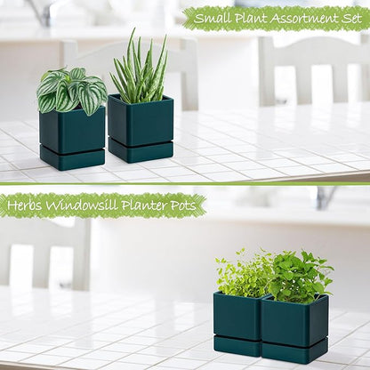 D'vine Dev 4 Inch Herb Planter Pot, Plastic Planter with Drainage Holes and Saucer, Modern Decorative Gardening Pot for Indoor Plants, Flowers, Herbs, Succulents, Green, Set of 2, 76-Y-C-2