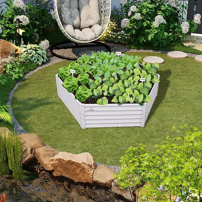 A ANLEOLIFE Hexagon Metal Raised Garden Bed, 18'' Tall Galvanized Flower & Ornamental Planter, 3FT Wide Decorative Raised Bed, Antique White