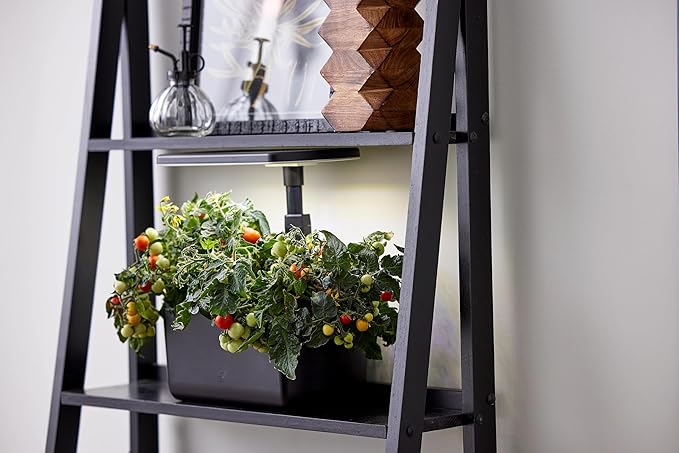 AeroGarden Harvest Lite in Black, Soil-Free Indoor Hydroponic Garden with LED Grow Light for Year-Round Gardening of up to 6 Herbs and Vegetables