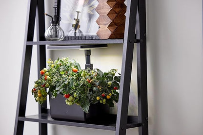 AeroGarden Harvest Lite in Black, Soil-Free Indoor Hydroponic Garden with LED Grow Light for Year-Round Gardening of up to 6 Herbs and Vegetables