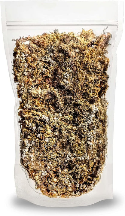 Gardenera Sphagnum Moss Potting Mix for Carnivorous Plants, Moss and Perlite Blend for Potting Venus Fly Traps, Sarracenia, Pitcher Plants - 75% Sphagnum Moss + 25% Perlite - Made in USA - 2 Quart