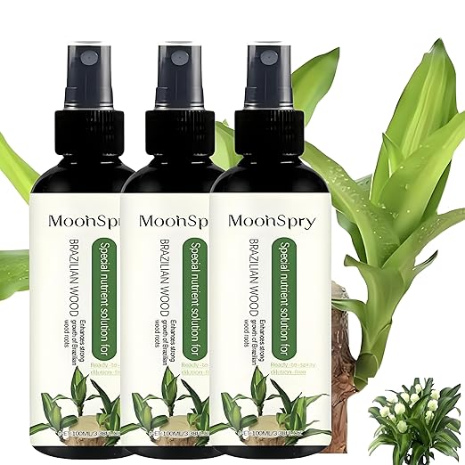 MoonSpry Brazilian lucky wood plant food, lucky bamboo liquid fertilizer,brazilian wood indoor houseplant fertilizer,bamboo indoor plant food,Fertilizantes de brasileña y árbol de la suerte,3pcs*100ml