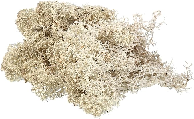 MECCANIXITY 3.5 OZ Moss Fake Craft Moss Artificial Moss Natural Preserved Moss for Craft Arts Floral DIY Project Wall Wedding Garden Patio Table Terrariums Decoration(Natural Colour)