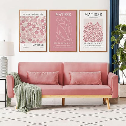HLNIUC Matisse Pink Wall Art,Neutral Pink Flower Framed Canvas Wall Decor Set of 3(16”x24’) Modern Aesthetic Pictures Wall Painting,Abstract Flower Market Art Print for Living Room,Bedroom