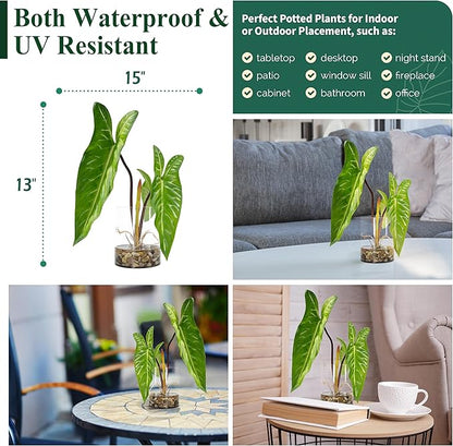 SUNPRAIRIE Realistic Faux Plant in Clear Pot with Artificial Water, Narrow Arrowhead Leaves. Artificial Plants Indoor and Outdoor