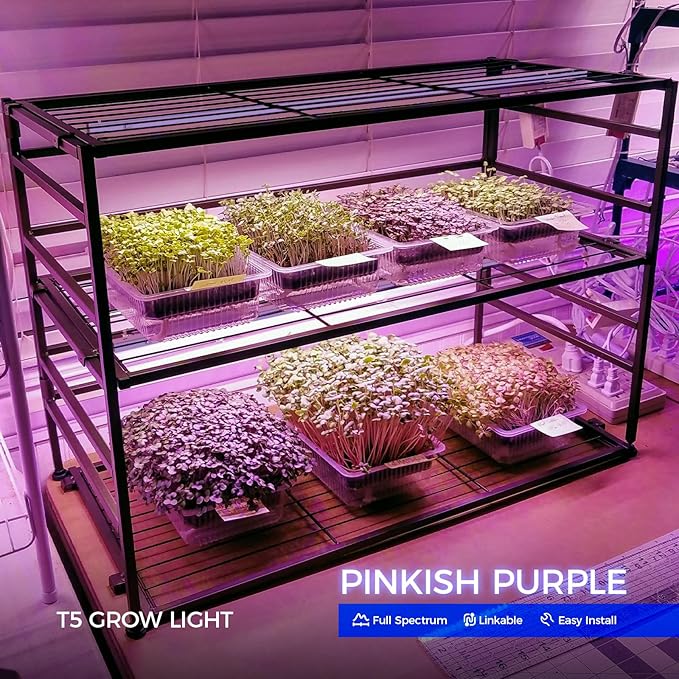 Barrina T5 Grow Lights for Indoor Plants, Full Spectrum, 4ft 160W (8 x 20W), LED Grow Light Strip for Seed Starting, Greenhouse, Plug and Play, 8-Pack