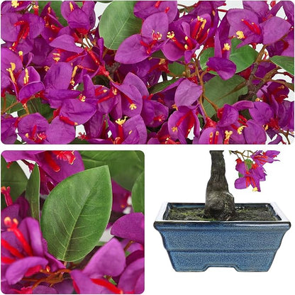 Briful Artificial Bougainvillea Tree in Blue Pot 18.5" Tall Faux Bougainvillea Floral Tree Tropical Silk Fake Bougainvillea Plant for Home Office Living Room Table Décor(Purple)