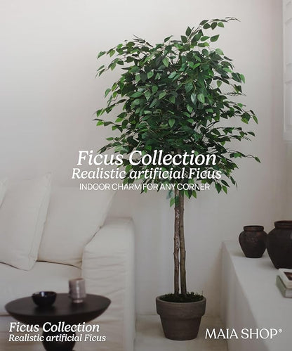 Maia Shop 2 Pack, 6ft Artificial Ficus Tree Plant for House, Apartment or Office – Realistic Fake Indoor Plants for Living Room, Kitchen, Bedroom, Entryway or Bathroom