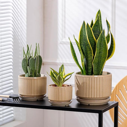 Beige Ceramic Planter Set of 3, Indoor Plant Pots with Drainage Hole, Saucer & Mesh Pads, Ceramic Striped Decorative Plant Pots for Indoor Plants, Garden Pots, Outdoor and Indoors Planters (Beige)