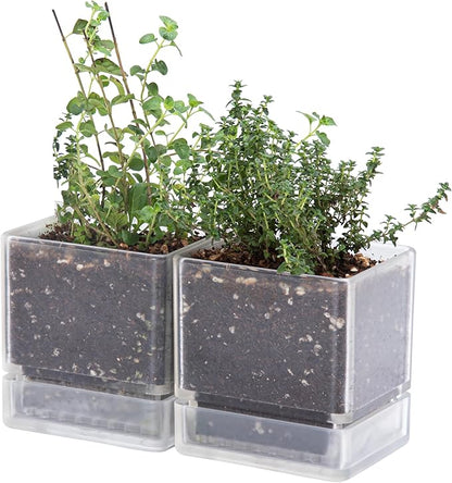4 Inch Herb Planter Pot, Plastic Planter with Drainage Holes and Saucer, Modern Decorative Gardening Pot for Indoor Plants, Flowers, Herbs, Succulents, Clear, Set of 2, 76-Y-D-2