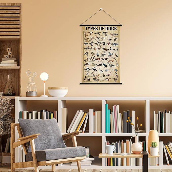 Geyee Duck Vintage Poster Wall decor Mallard Ducks Hunting Art Knowledge Picture Prints Wall Decor for Home Kitchen Office Classroom Living Room Bedroom Frame, 15.8 x 23.6 Inch(Duck)