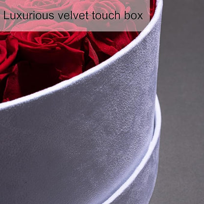 50 Piece Roses in a Velvet Box, Flowers for Delivery, Presereved Flowers Birthday Gifts for Women Mom and Wife (Pink)