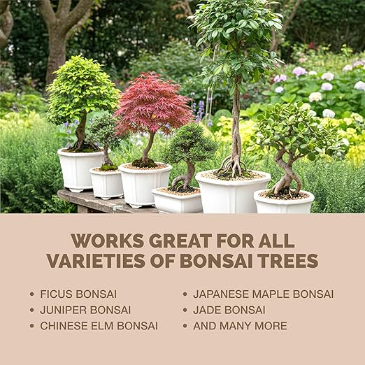 Bonsai Fertilizer for All Bonsai Trees, Great for Root Soaks, Liquid Plant Food 1 Gallon (128 oz)