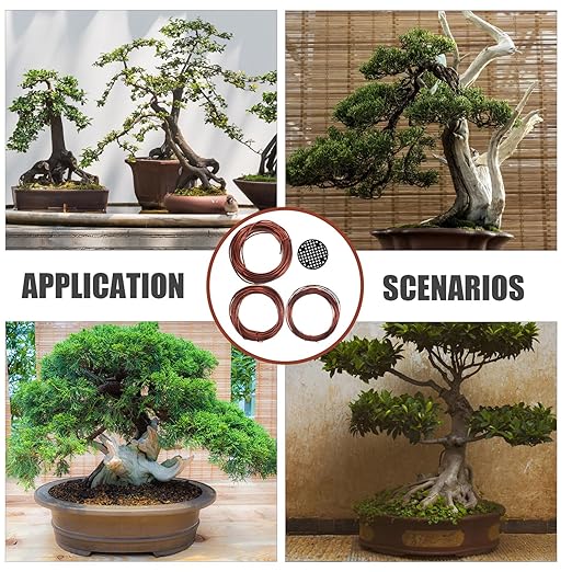 BESPORTBLE Bonsai Wire Kit Copper Color DIY Plant Training Wire for Tree Shaping and Climbing for Garden Bonsai and Indoor Plant Styling