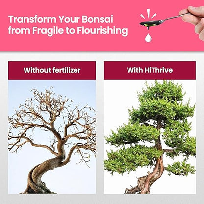 32oz Bonsai Tree Live Liquid Plant Food - Makes 64 Gallons of Bonsai Fertilizer Liquid, Premium Macronutrient Formula Enriched with Micronutrients for Healthy Roots, Branching & Foliage