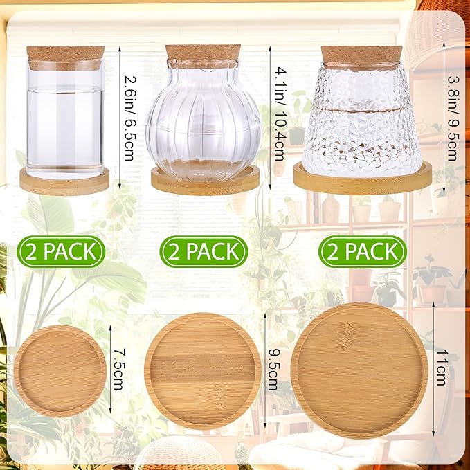 6 Pcs Plants Propagation Station Separated Desktop Glass Plant Terrarium with Wood Lid and Tray, 3 Sizes Hydroponics Plants Jars Water Planting Vases for Indoor Home Tabletop Decor