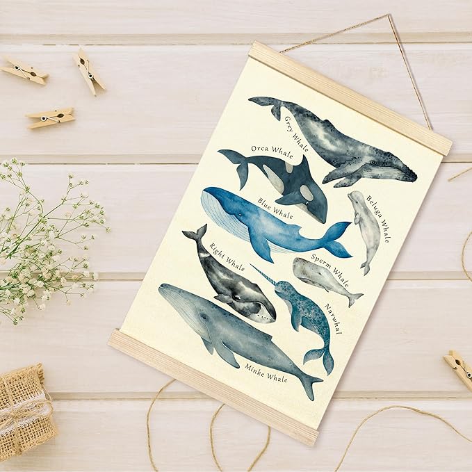 TAEDIN Whales Ocean Animal Chart Poster Hanger Frame, Whales Nautical Wall decor Educational Wooden Canvas Print, Sea Life Beach Wall Decor Painting for Classroom Nursery Bedroom Teen Room 16X24