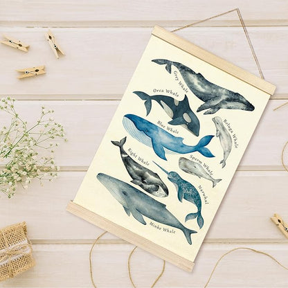 TAEDIN Whales Ocean Animal Chart Poster Hanger Frame, Whales Nautical Wall decor Educational Wooden Canvas Print, Sea Life Beach Wall Decor Painting for Classroom Nursery Bedroom Teen Room 16X24