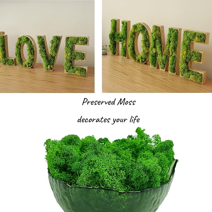 Moss Preserved Artificial Moss 8.8 oz Natural Fresh Green Moss for Craft Arts Floral Project Wall Decor Table Decor Wedding Centerpieces Garden Terrariums Decoration -MidGreen