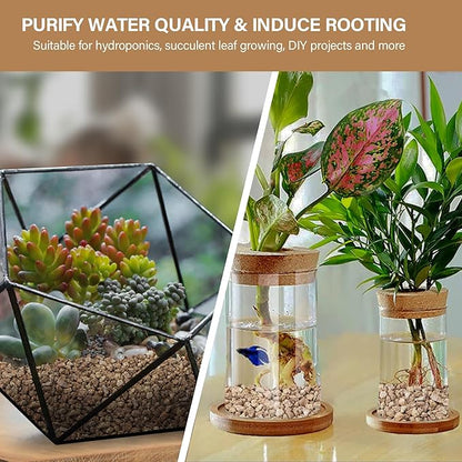 NUPICK 3lb Maifanitum Stones for Succulent, 1/8"-1/4" Golden Pea Gravel for Cactus, Small Pebbles for Indoor Plants Soil Covers, Decorative Rocks for Bonsai, Vases Fillers, Aquarium, Top Dressing