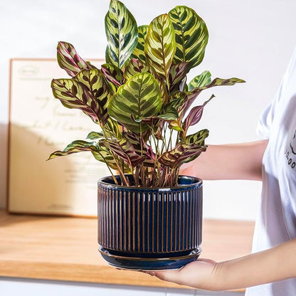 Navy Blue Ceramic Plant Pots Set of 3, 4.3+5.5+6.7 Inch Indoor Flower Pots with Drainage Hole & Saucer & Hole Mesh Pads, Striped Decorative Planter Set for Indoor Plants, Gardening Pots & Accessories