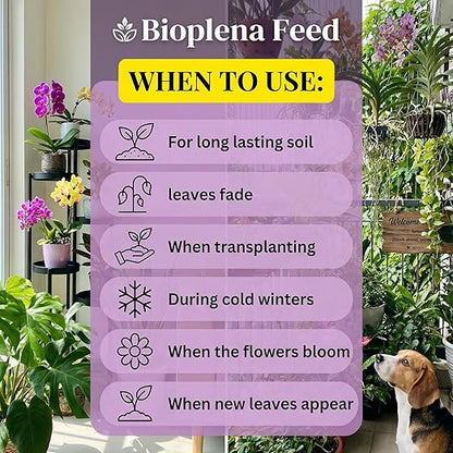 All-Purpose Liquid Plant Food Fertilizer for Orchids & House Plants | 6-Pack Easy Cut & Stick Nutrient Solution for Indoor Plants | Promotes Vibrant Blooms, Strong Roots & Lush Foliage | Made in USA
