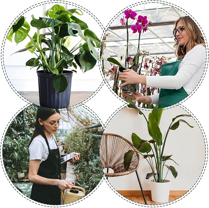 16Pcs Stackable Plant Support Stakes, Plant Stakes for Indoor and Outdoor, Plants Sticks for Vine Training Stem Stabilization, Plants Clips, Stem Holder Structures Frame for Potted Monstera Climbing