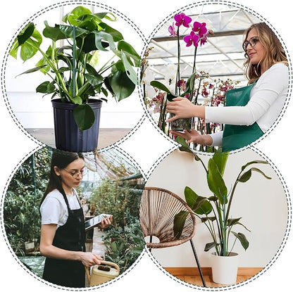 16Pcs Stackable Plant Support Stakes, Plant Stakes for Indoor and Outdoor, Plants Sticks for Vine Training Stem Stabilization, Plants Clips, Stem Holder Structures Frame for Potted Monstera Climbing