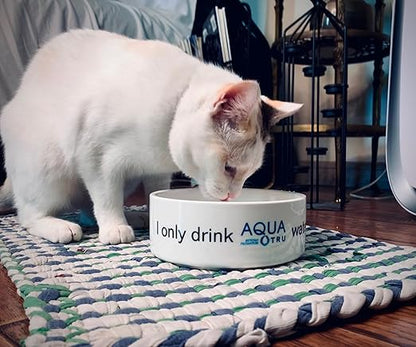 AquaTru Carafe Smart Countertop Water Purifier | App-Connected 4-Stage Reverse Osmosis System with Glass Carafe Removes Forever Chemicals, Lead & Fluoride | Track Filter Life | No Plumbing