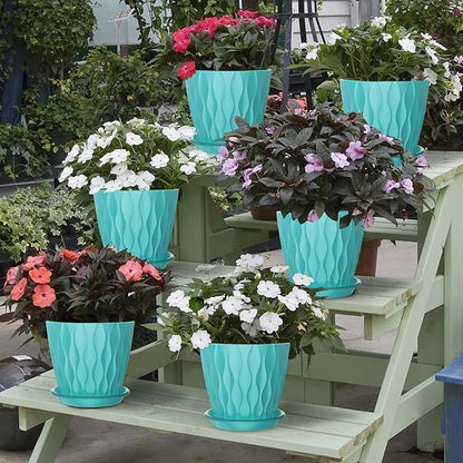 6 Inch Plant Pots with Saucers, 6 Pack Indoor Flower Pots, Planters with Drainage Holes for Orchids, Violets, Succulents, Herbs, and Other Plants, White (Black-Green, 6inch)