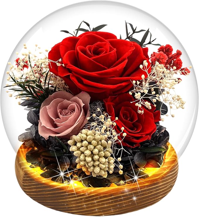 MOKOQI Red Rose Birthday Gifts for Women Forever Rose Flowers for Delivery Prime Preserved Flowers in Glass Dome | Valentines Day Gifts for Her Mom Wife Grandma on Christmas Birthday