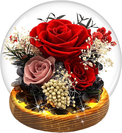 MOKOQI Red Rose Birthday Gifts for Women Forever Rose Flowers for Delivery Prime Preserved Flowers in Glass Dome | Valentines Day Gifts for Her Mom Wife Grandma on Christmas Birthday