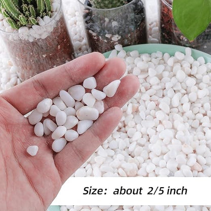 7lb 1/4" Small White Rocks for Plants,Potting,Succulents Aquarium Fish Tank Garden Vases Decorative Pebbles Gravel Rocks Stones