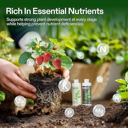 VIVOSUN Liquid Nutrients Base A & B Bundle, Grow Big Hydroponic Fertilizer, Supports Vegetative and Flowering Stages for Outdoor, Indoor Plants, Best Plant Food, Set of 8oz