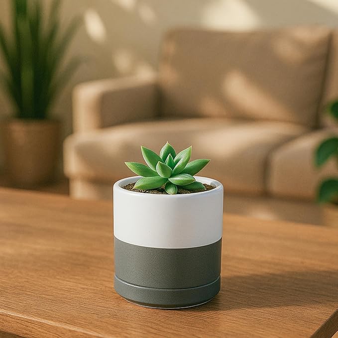 D'vine Dev Set of 3 Plants Pots, 3.5 Inch Ceramic Planter Pot for Plants with Drainage Hole and Saucer, White/Speckled Grey, 94-N-A-6