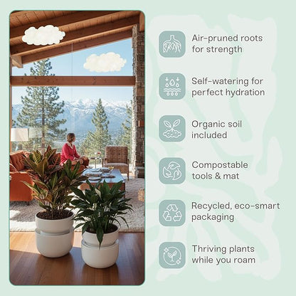 Tendril Planter SWAP+ System | Indoor Ceramic Planter (10"), Self-Watering & Air-Pruning, with Tools & Repotting Mat | USA Organic Soil Included